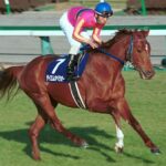 着差は付けないが負けの少ない安定感のある馬と強い時は圧倒するがレースと成績にムラのある馬
