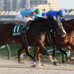 【武蔵野S】2番人気ギルデッドミラーが差し切りV!重賞初制覇