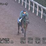 【ファンタジーステークス2022】追い切り/追い切りが結果につながる
