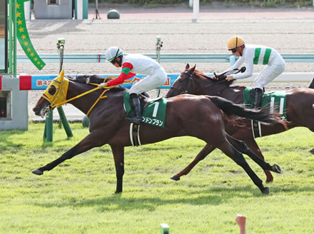 【競馬予想】第58回京王杯2歳ステークス(GⅡ) /2022