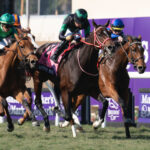 アメリカ芝G1、2勝の5歳牝馬ウォーライクゴッデスが有馬記念参戦へ
