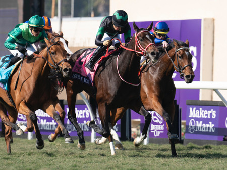 アメリカ芝G1、2勝の5歳牝馬ウォーライクゴッデスが有馬記念参戦へ