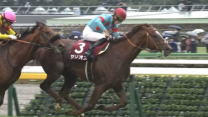 ●現役最強馬サリオス、香港マイル受諾