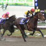 カフェファラオ骨折　来年のフェブラリーＳかサウジＣの復帰が目標