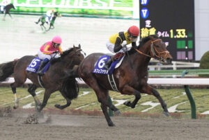 カフェファラオ骨折　来年のフェブラリーＳかサウジＣの復帰が目標