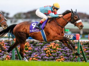 一番好きな天皇賞秋