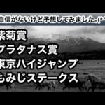 【競馬】兵庫ジュニアグランプリ競争中止のトレド、斃死【2戦2勝・合計13馬身】
