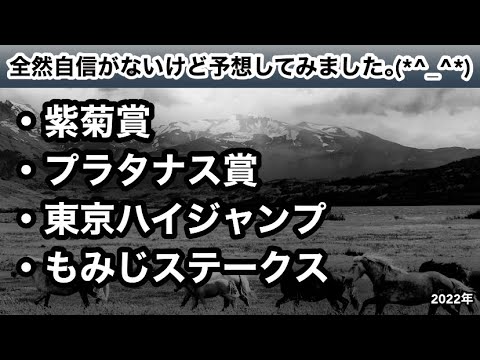 【競馬】兵庫ジュニアグランプリ競争中止のトレド、斃死【2戦2勝・合計13馬身】