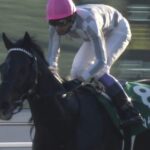 【競馬】キーファーズのブルームが武豊とのコンビでジャパンCに参戦!!!!!