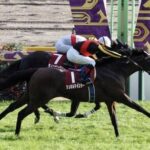 【競馬予想】[4]第39回マイルチャンピオンシップ(GI) /2022