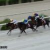 【兵庫ジュニアグランプリ2022】結果・動画/オマツリオトコが４馬身差圧勝