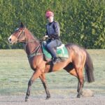 エリ女王18着マジカルラグーン、ジャパンカップ回避