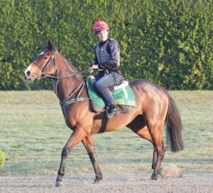 エリ女王18着マジカルラグーン、ジャパンカップ回避