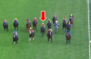 シャフリヤール天皇賞秋の空気っぷり