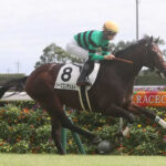【競馬予想】第27回東京スポーツ杯2歳ステークス(GII) /2022