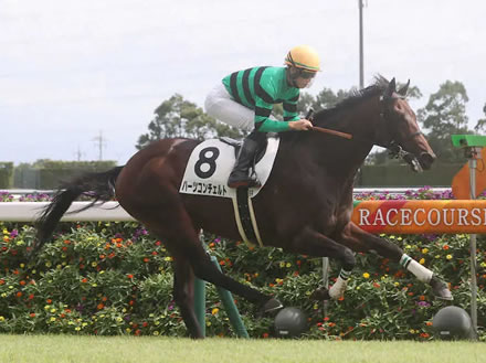 【競馬予想】第27回東京スポーツ杯2歳ステークス(GII) /2022