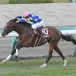 【デイリー杯2歳S】3番人気オールパルフェが逃げ切って快勝!重賞初制覇