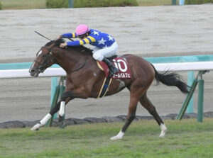 【デイリー杯2歳S】3番人気オールパルフェが逃げ切って快勝！重賞初制覇