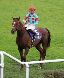 サリオス、引き続き鞍上ムーアで香港マイルへ