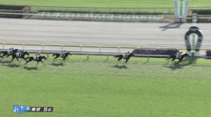 ライトクオンタム強すぎワロタ