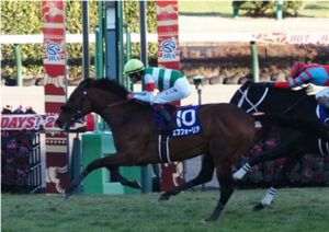 エフフォーリアが有馬記念に向け本格始動！
