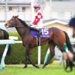 11着ダノンスコーピオン川田「馬体の成長でバランスが変わっていた」