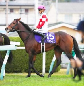 11着ダノンスコーピオン川田「馬体の成長でバランスが変わっていた」