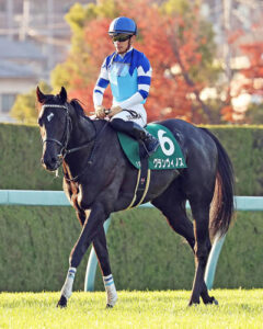 【京都2歳S】グランヴィノス川田「血統的にまだ時間が必要なんだろうと思います」