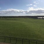 【競馬・アルゼンチン共和国杯】キラーアビリティとはなんだったのか