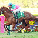 【悲報】今年の2歳馬、抜けた馬いない件