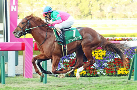 【悲報】今年の2歳馬、抜けた馬いない件