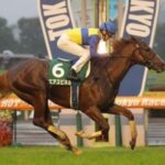 重賞3勝エアスピネル(牡9)が引退 乗馬に