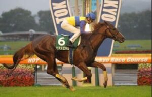 重賞3勝エアスピネル(牡9)が引退 乗馬に