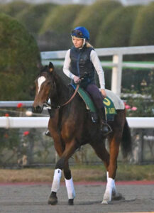 【ジャパンカップ】外国馬グランドグローリー JCを最後に引退　社台ファームで繁殖入り