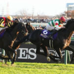 【ジャパンカップ】1番人気シャフリヤール敗れる…届かず2着