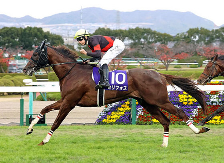 3歳馬が秋競馬で古馬相手に躍動しまくりwww