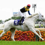 【競馬予想】[1]第39回マイルチャンピオンシップ(GI) /2022