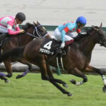 【競馬予想】第27回ファンタジーステークス(GⅢ) /2022