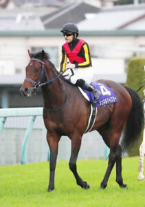 ルメール「シュネルマイスター、馬場が柔らかかったせいか速い反応がなかった」