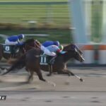 【武蔵野ステークス2022】結果・動画/ギルデッドミラーがわずかに差し切る