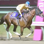 g1ジョッキー三浦皇成騎手ww