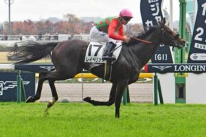 【2歳新馬】上がり33.1秒の圧勝劇レイベリングが朝日杯へ