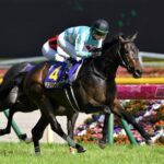 【競馬予想】[3]第47回エリザベス女王杯(GⅠ) /2022