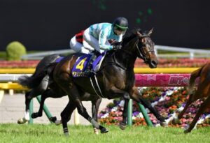 【競馬予想】[3]第47回エリザベス女王杯(GⅠ) /2022