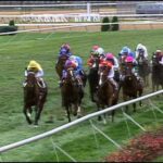 【競馬】デアリングタクト、ジャパンカップに緊急参戦