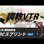 調教VTR|2022年 JBCスプリント JpnI|NAR公式