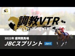 調教VTR｜2022年 JBCスプリント JpnI｜NAR公式