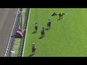 藤井勘一郎 落馬した馬に踏まれ…