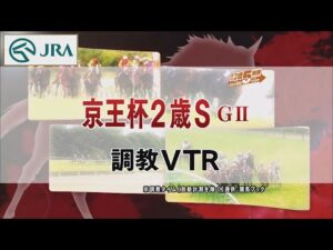 【調教動画】2022年 京王杯2歳ステークス｜JRA公式