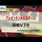 【調教動画】2022年 アルゼンチン共和国杯|JRA公式